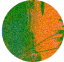 Sergio R User Icon